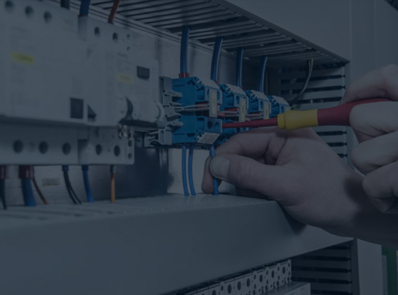 黄色黄瓜视频免费下载